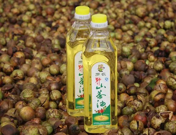 山茶油放幾年了還可以吃嗎？